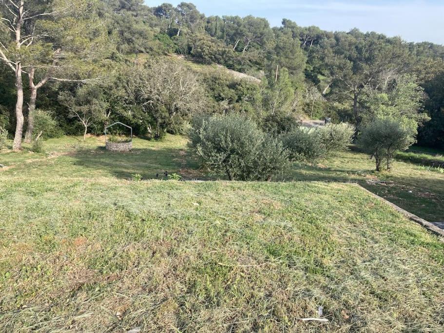 Magnifique Villa De Luxe Au Coeur De La Garrigue Nîmes Exterior foto